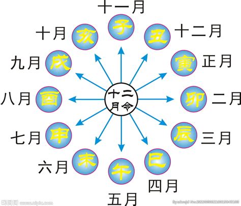 12地支五行|十天干十二地支对应五行 十天干十二地支五行阴阳属性